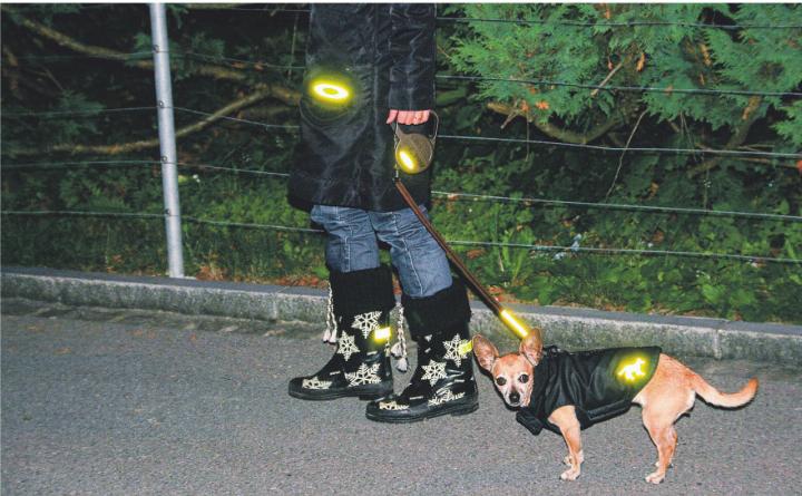 In der Dämmerung ist die Unfallgefahr besonders hoch. Reflektoren machen Mensch und Tier sichtbar. Bilder: suyutzinger.ch