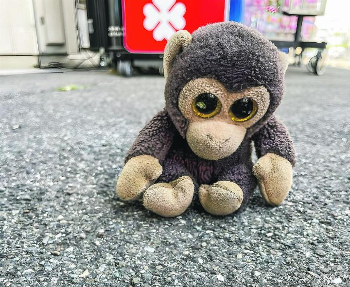 Das Vereinsmaskottchen ist stets mit von der Partie. Bild: Christina Avanzini
