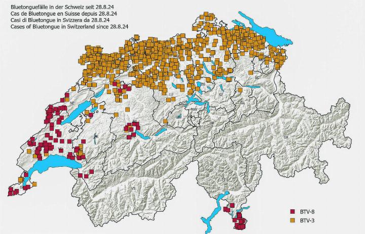 Die Übersichtskarte zeigt: Zahlreiche Betriebe sind von der Blauzungenkrankheit betroffen. Bild: Bundesamt für Lebensmittelsicherheit und Veterinärwesen.