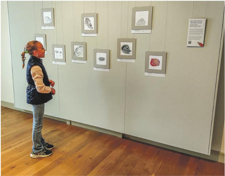 Sonderausstellung «Kleiner Kiesel ganz gross» im Naturmuseum Frauenfeld – ein Winterausflug für die ganze Familie.    Bilder: Naturmuseum Frauenfeld