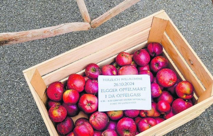 Der Apfelmarkt ist ein Highlight im Jahreskalender – und für Viele der Elgger Markt der Märkte. Bild: Denise Travailleur