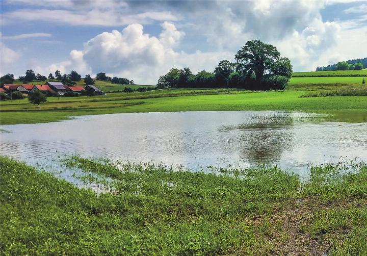 Nach dem grossen Regen … Leserbild: Brigitte Ostertag, Elgg