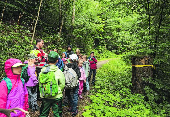 Der Elgger Förster Roman Brazerol erklärt Kindern auf einer Waldführung die Funktion des Waldes.