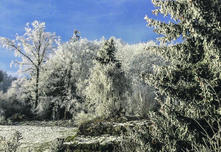 Winterstimmung an der Aawangenstrasse in Häuslenen. Leserbild: Monika Specker, Häuslenen