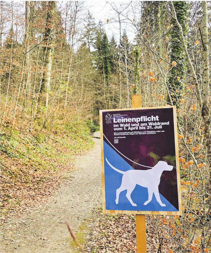 Eine Tafel weist auf die Leinenpflicht im Wald hin. Bild: zVg