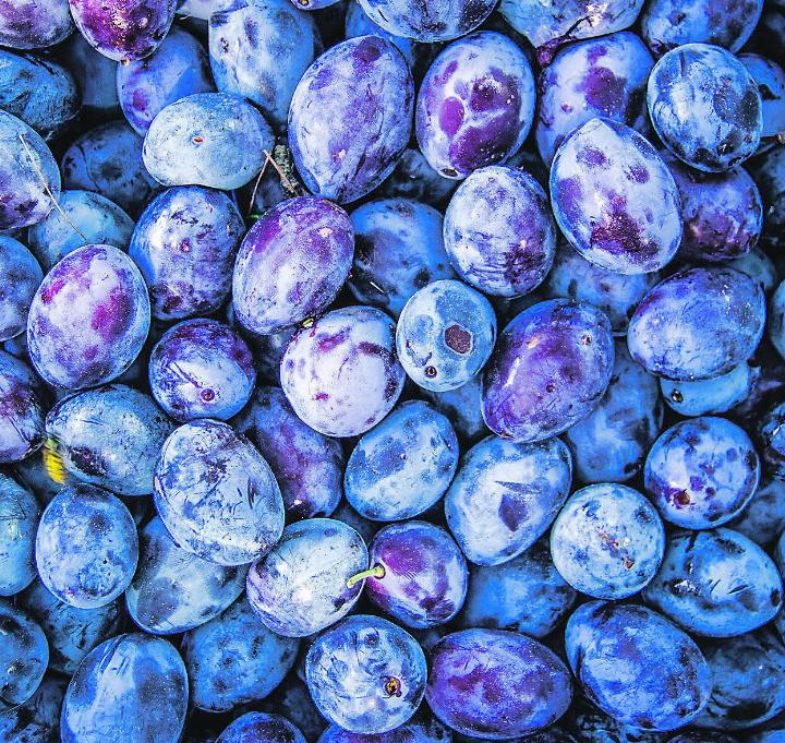 Die Zwetschge wirkt antioxidativ und bindet freie Radikale. Bild: pixabay.com