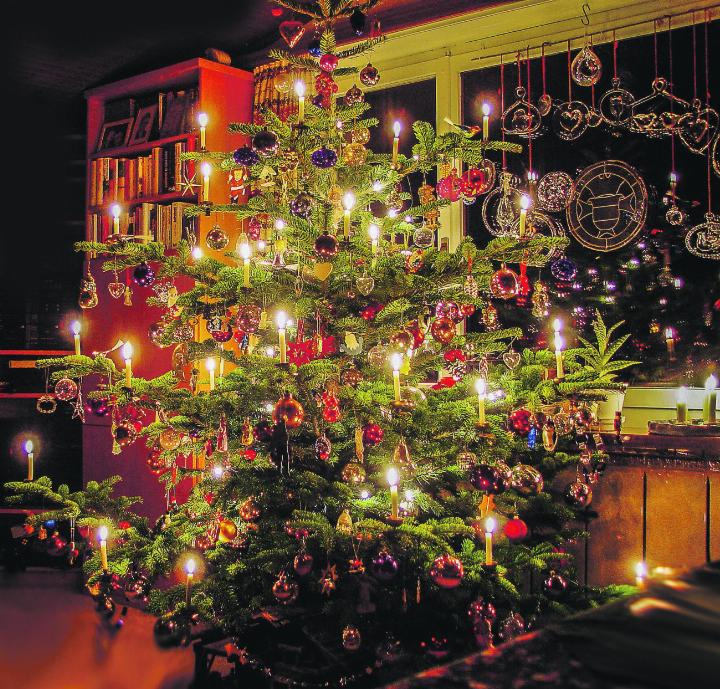 Kluge Köpfe kaufen den Weihnachtsbaum beim lokalen Landwirtschafts- oder Forstbetrieb. Bild: Hellebardius, flickr.com