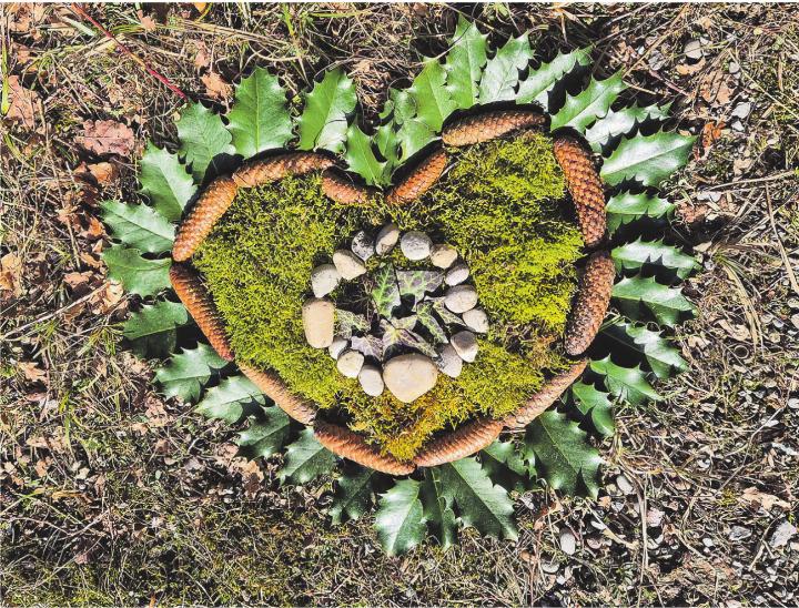 Was die Natur schenkt, wird zur Kunst. Leserbild: Hildegard Kissling, Aadorf