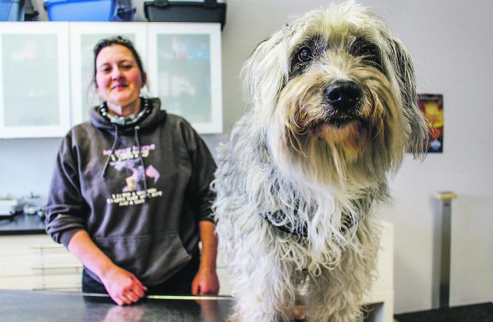 Susanne Meier mit Hündchen Timo: Die Tierärztin versorgt seit 2014 Vierbeiner aus der Umgebung – unterwegs oder in ihrer Tierarztpraxis Schauenberg direkt im Zentrum Elggs.