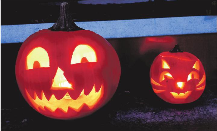 Freundliche Kürbismonster. Leserbild: Brigitte Ostertag, Elgg