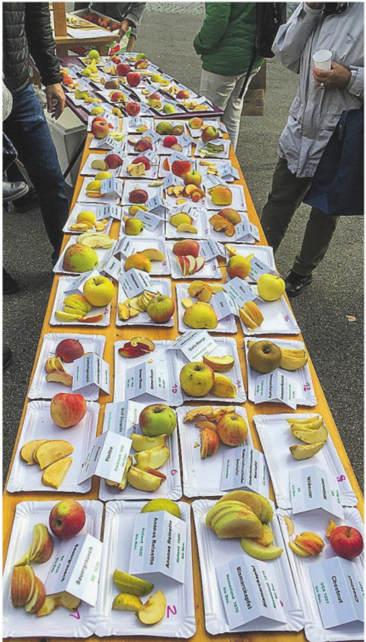 Probierstand am Elgger «Öpfelmärt». Foto Hannes Fritz Probierstand am Elgger «Öpfelmärt». Foto Hannes Fritz