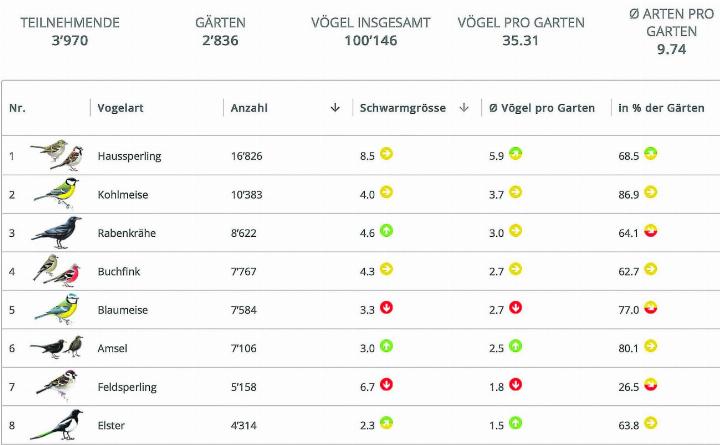 Die Ergebnisse der ersten schweizweit durchgeführten Zählung der Wintervögel auf stunde-der-wintervoegel.ch. In Elgg und Aadorf waren Haussperling, Kohl- und Blaumeisen, Buchfink sowie Amsel die meistgesichteten Arten. Bild: stunde-der-wintervoegel.ch