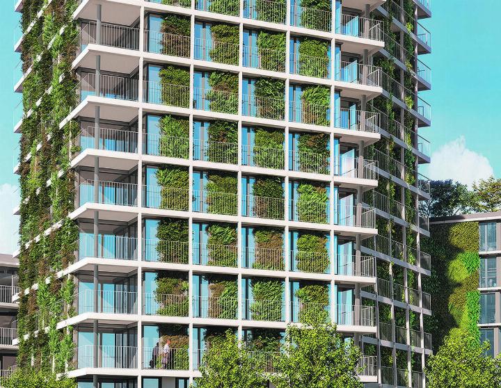 Mit einer begrünten Fassade lebt es sich nicht nur angenehmer, sondern auch schöner. Bild: greencitywall.ch