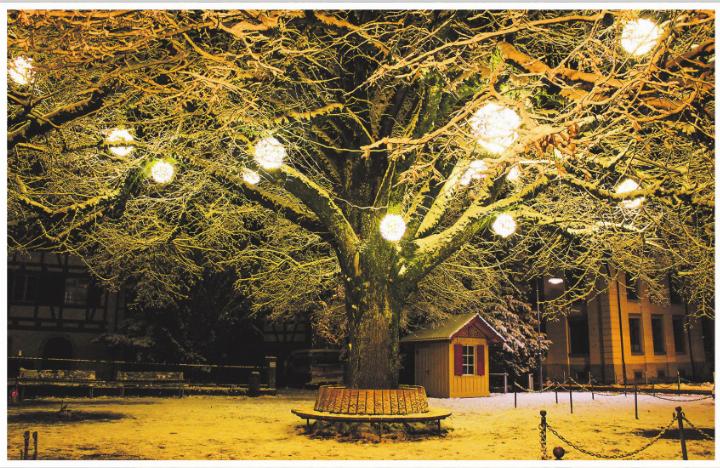 Bei der Bevölkerung beliebte Kugeln zieren in der Advents- und Weihnachtszeit den Baum auf dem Lindenplatz. Archivbild: EAZ
