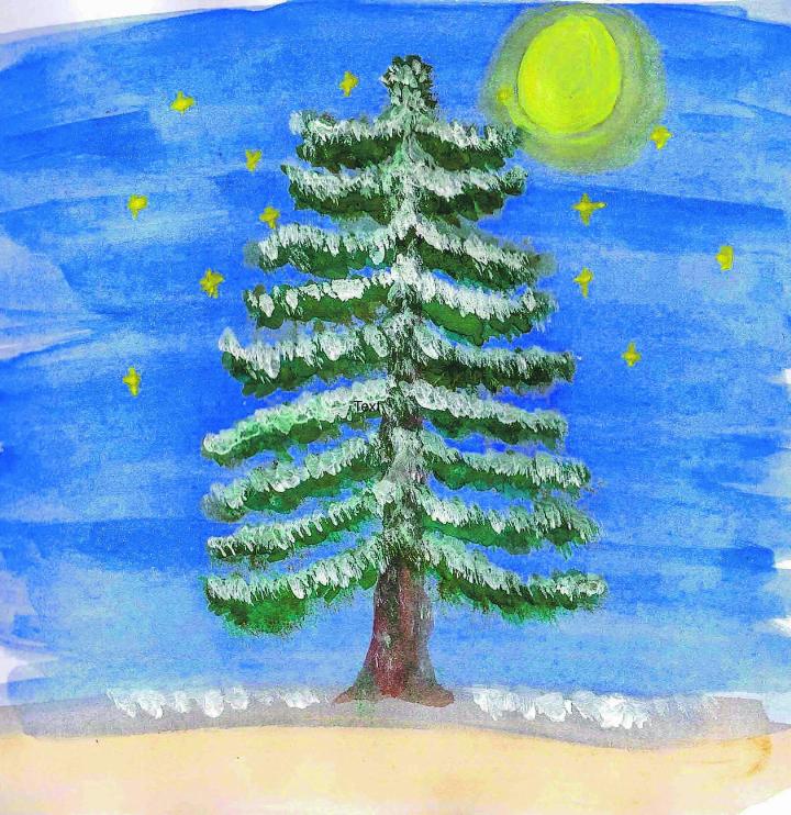 Die liebevoll gestaltete Geschichte vom «Pflästerlischnägg» führt durch den Wald bis zur Waldhütte Oberholz. Bild: zVg