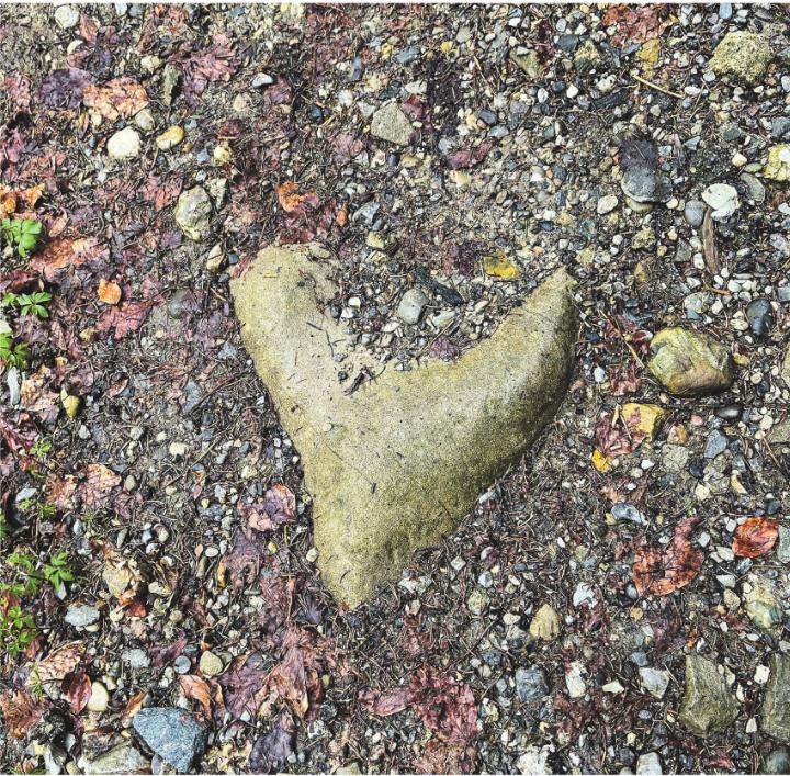 Eine „HERZliche“ Überraschung auf dem Wanderweg der Thur entlang. Leserbild: Irene Hess, Aadorf