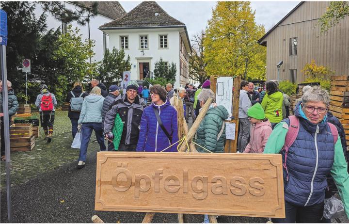 Trotz Wind und Regen wurde der Apfelmarkt 2025 im Elgger «Stedtli» zum herbstlichen Höhepunkt.