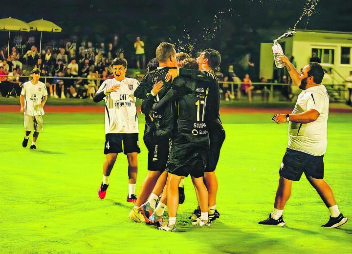 Bald trifft sich wieder die Weltklasse im Faustball in Elgg. Bild: zVg