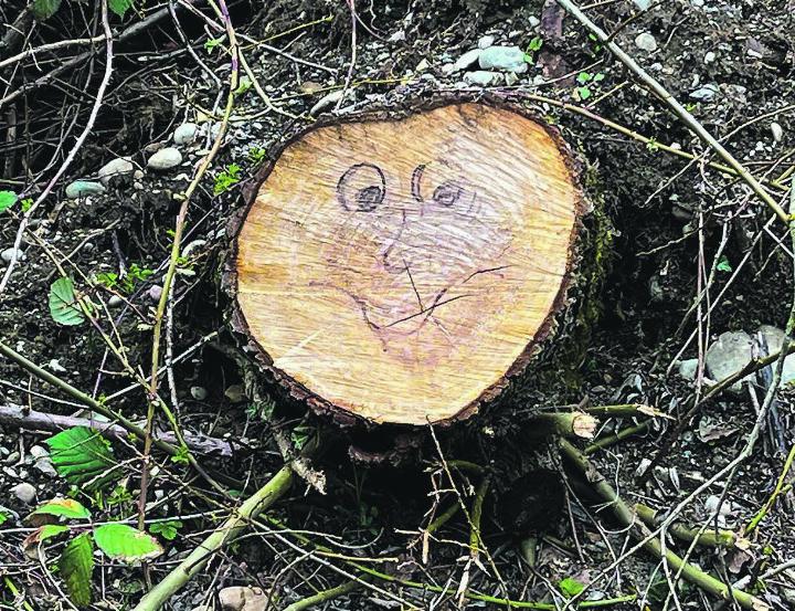 Ein lachender Baumstrunk. Leserbild: Irene Hess, Aadorf