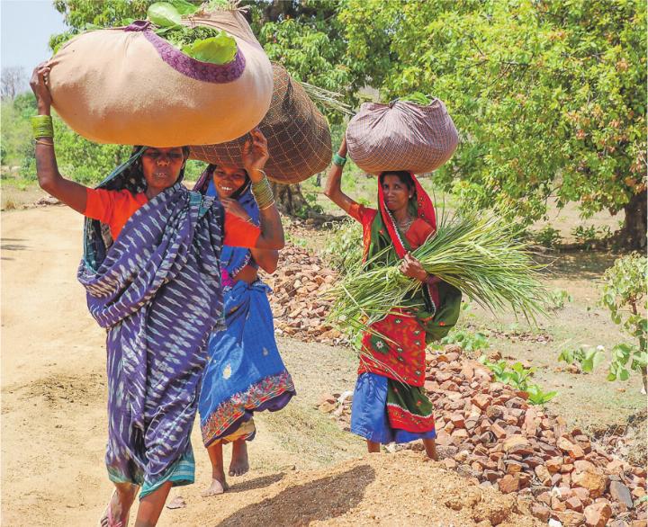 Der Suppentag in Elgg verbindet Gottesdienst, gemeinsames Essen und Informationen zur diesjährigen Fastenkampagne mit Schwerpunkt Indien. Bild: zVg