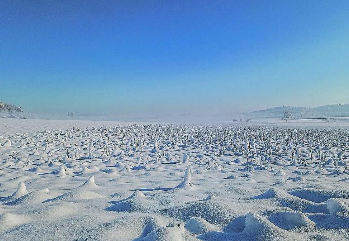 11. Januar: Mondlandschaft Richtung Hagenstal. Leserbild: Silvia Sommer, Elgg