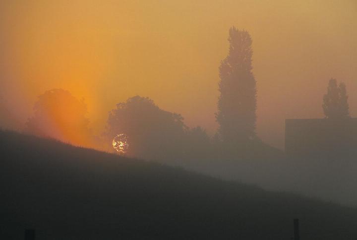 Der Nebel über Neu-Elgg wird sich bald verziehen. Bild: René Fischer