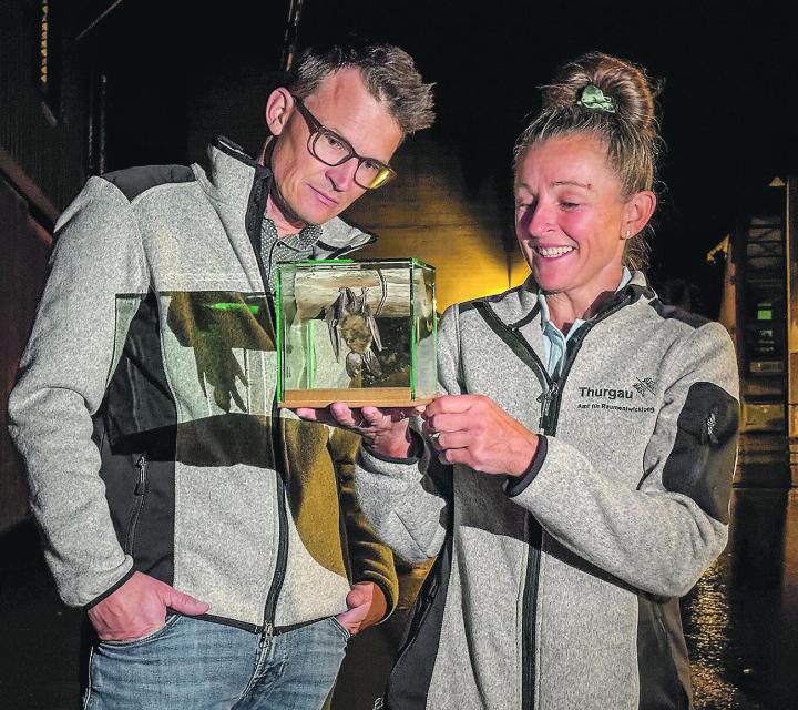 Matthias Künzler und Andrea Brandes von der Abteilung Natur und Landschaft mit einem Präparat einer Langohrfledermaus. Bild: zVg