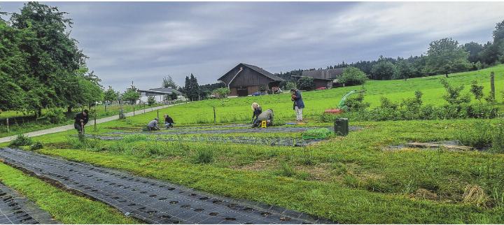 Jede helfende Hand für die Gartenarbeit ist wertvoll. Bilder: zVg