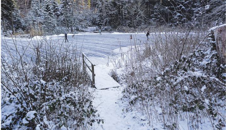 Januarkälte, Eis und Schnee, machen nicht nur die Kinder froh. Bild: Kurt Lichtensteiger