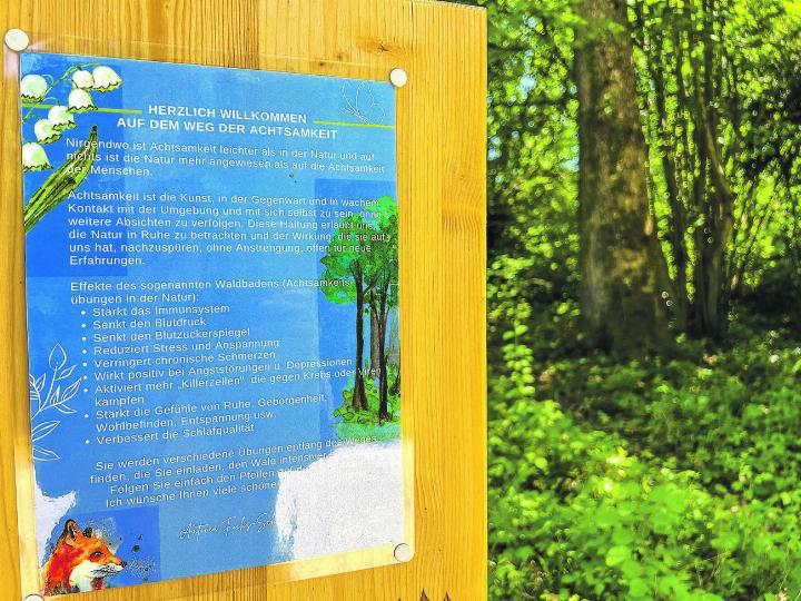 «Frühlingsweg der Achtsamkeit:» Auf neun Tafeln erfährt man rund um den Eisweiher in Aadorf vieles über den sorgsamen Umgang mit der Natur und sich selbst.