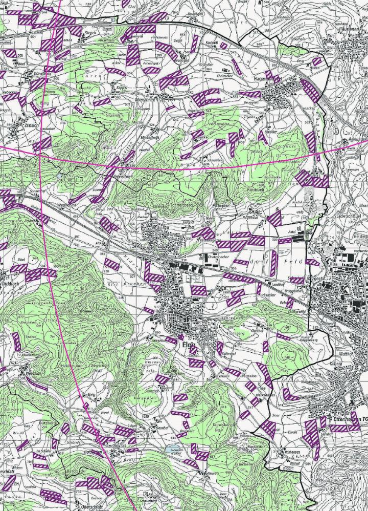 Rot markiert, wo der Maiswurzelbohrer sein Unwesen treibt. Hier darf nächstes Jahr kein Mais mehr angebaut werden. Bild: Geoportal des Kantons Zürich