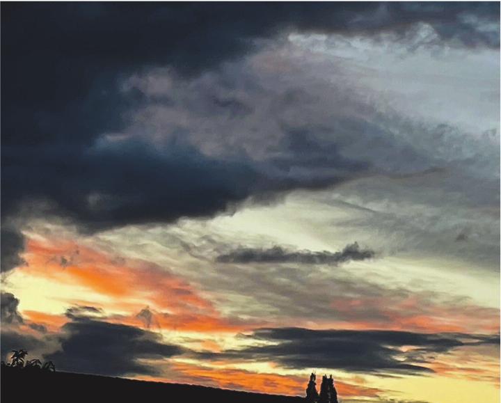 Leserbild: Renate Katterbach, Elgg