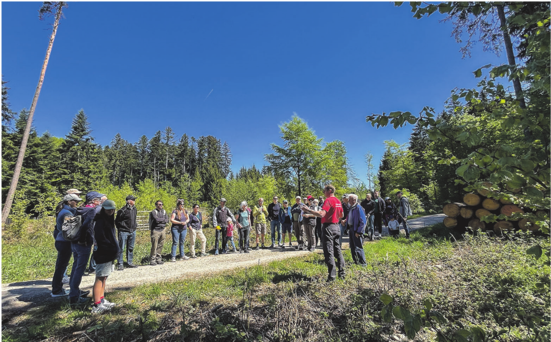 Dorf-Treff «Kommt mit in den Wald» - Das Bild wird blockiert. – Möglicherweise durch einen aktiven Adblocker.