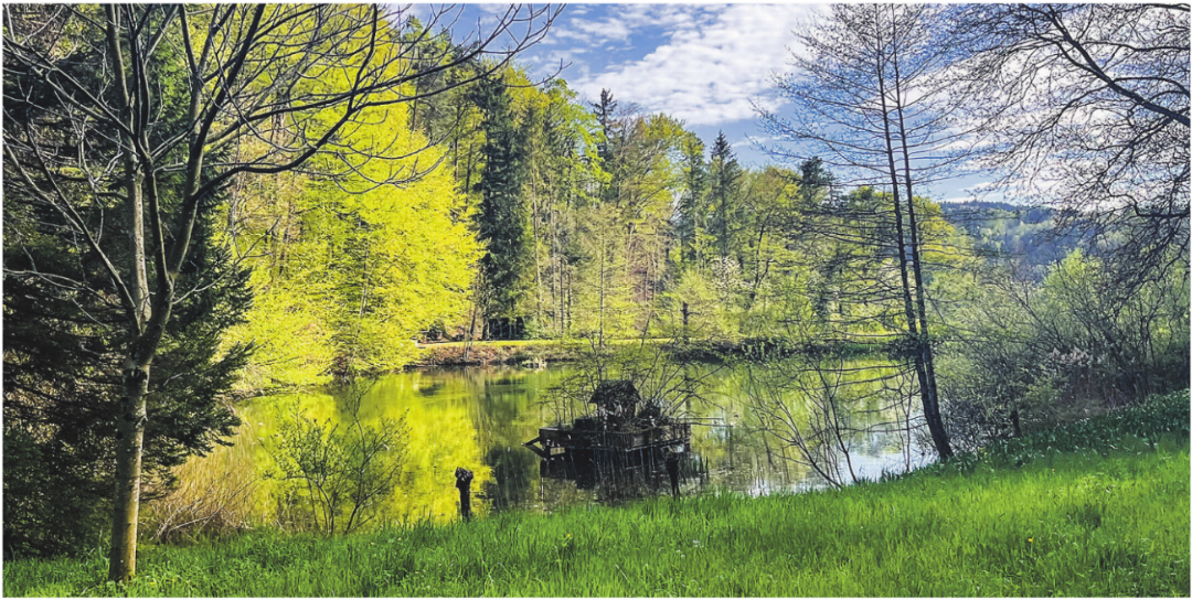 Stauweiher Ramistel Naturschutzgebiet in Elgg und Bertschikon (Wiesendangen). Bilder: zVg Stauweiher Ramistel Naturschutzgebiet in Elgg und Bertschikon (Wiesendangen). Bilder: zVg