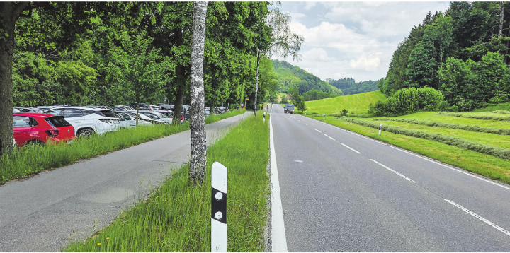 Die Badegenossenschaft, Politikerinnen und Politiker sowie Anwohnende setzen sich für eine Temporeduktion auf der Kantonsstrasse bei der Badi ein. Bild: zVg