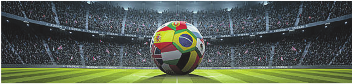 Die Kantonspolizei Thurgau setzt während der Fussball-WM auf Toleranz und Konsequenz. Bild: iStock.com
