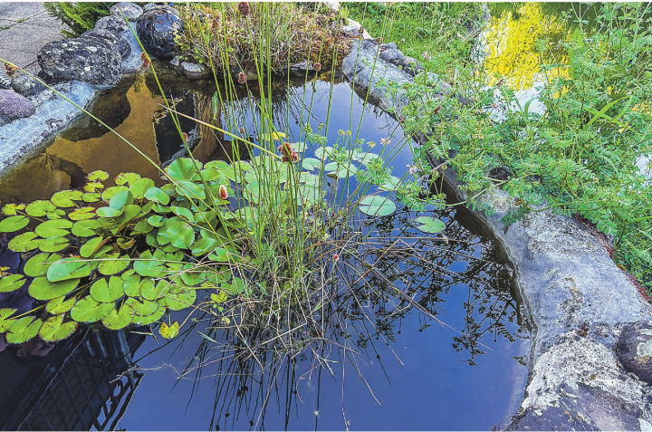 Einer der wunderbaren «offenen Gärten» in Aadorf. Bild: zVg