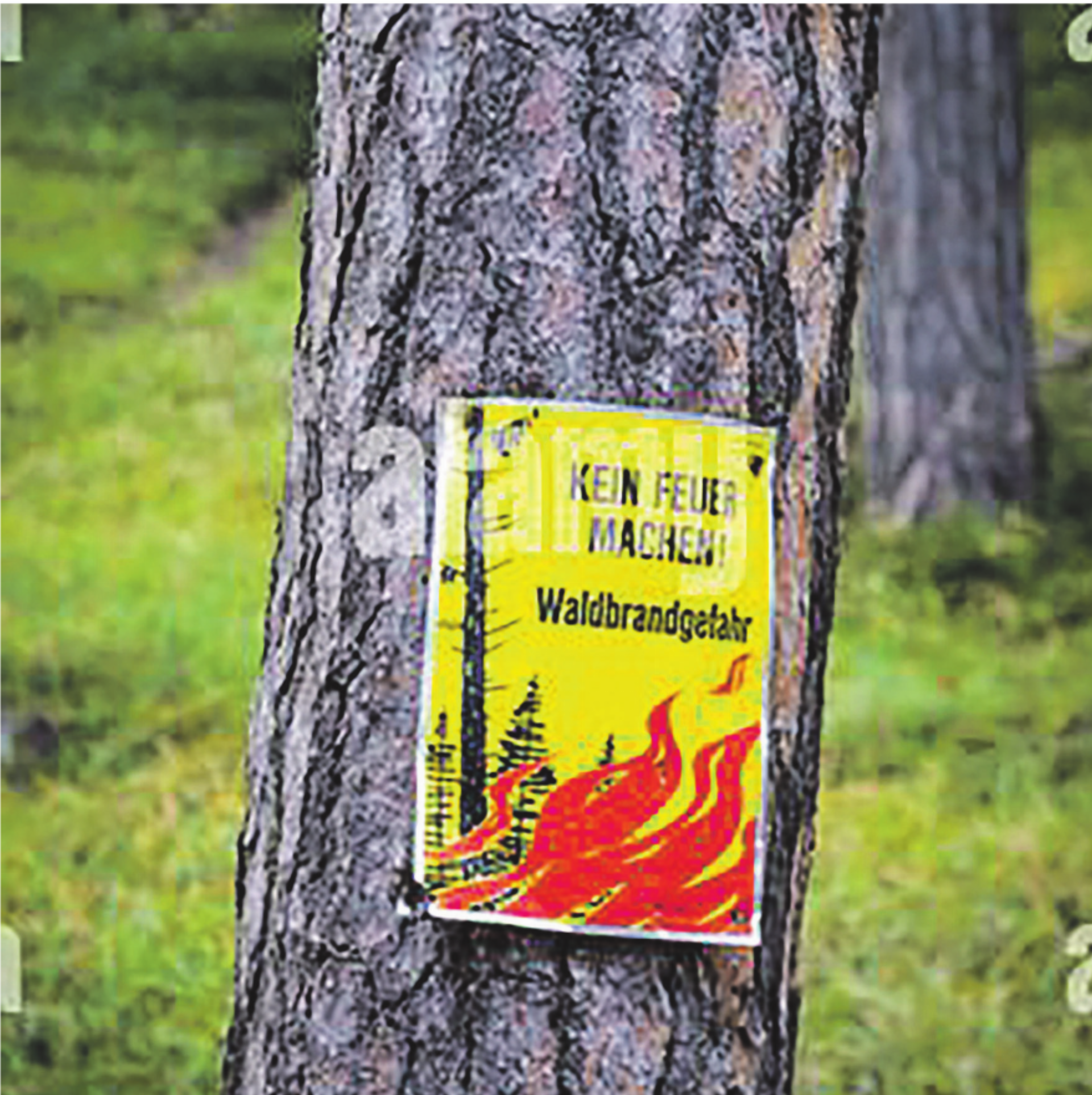 Feuerverbot im Wald und in Waldesnähe - Das Bild wird blockiert. – Möglicherweise durch einen aktiven Adblocker.