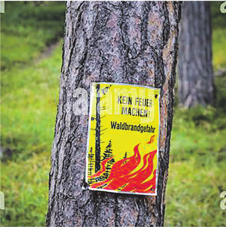 Im Kanton Zürich gilt seit Freitag 26. Juni, ein Feuerverbot im Wald und Waldesnähe. Bild: alamy