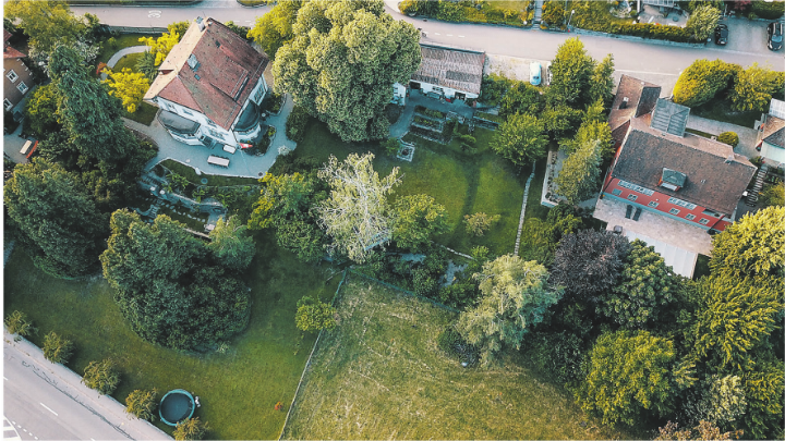 Am 21. und 22. August öffnen die Villengärten Mon Repos und Marienhalde wieder ihre Tore für die Öffentlichkeit. Bild: zVg