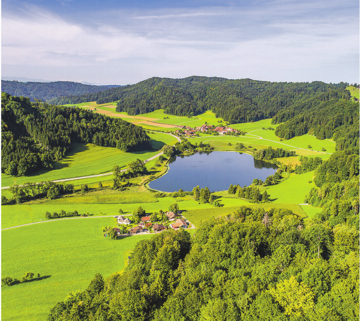 Luftaufnahme des Bichelsees inklusive Kantonsstrasse. Bild: Standortförderung «Zürioberland», Mirko Reichlin