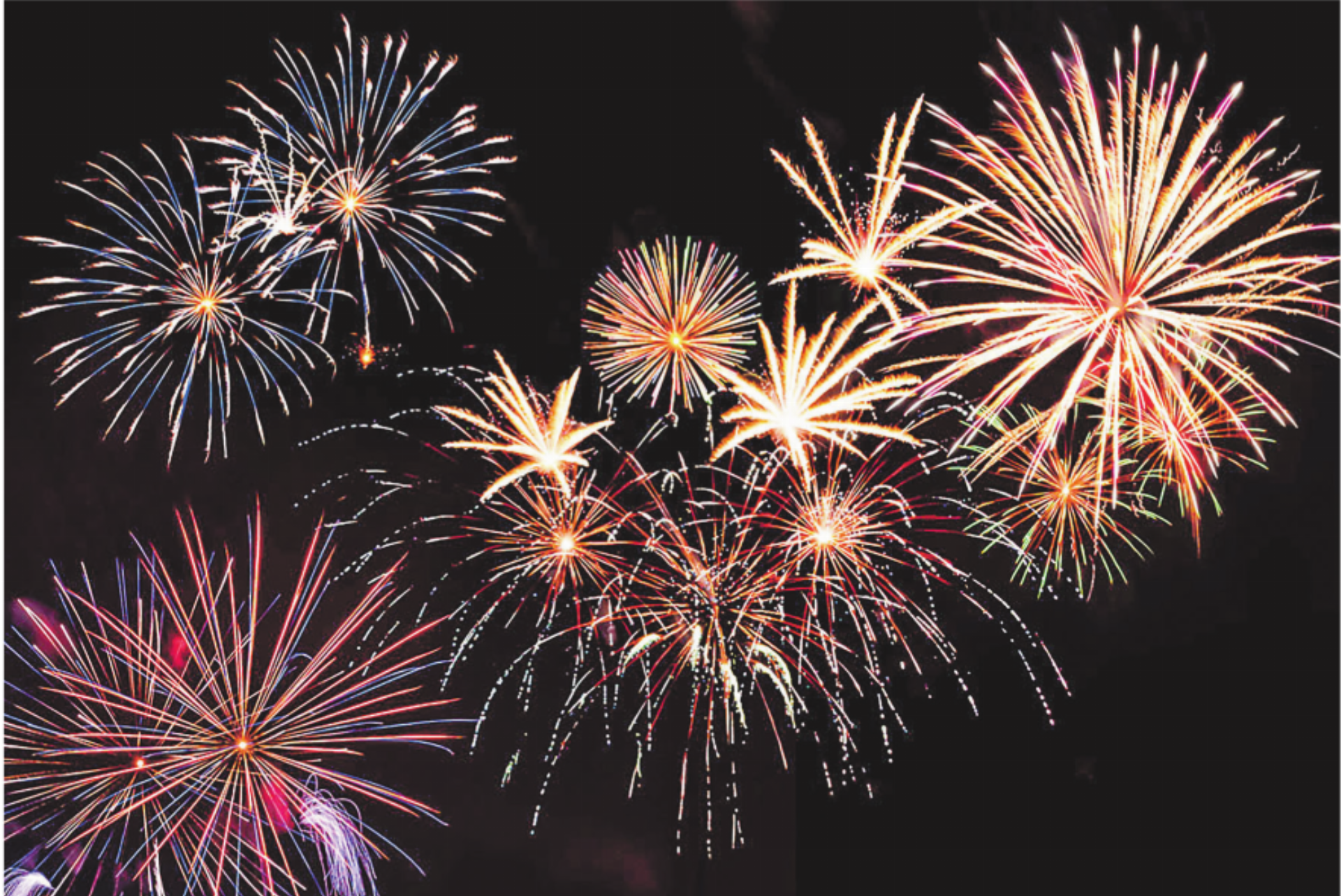 1. August: Für die meisten Tiere ist das Feuerwerk kein Fest - Das Bild wird blockiert. – Möglicherweise durch einen aktiven Adblocker.