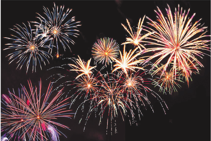 Feuerwerk versetzt viele Haus- und Wildtiere in Angst. Bild: shutterstock.com