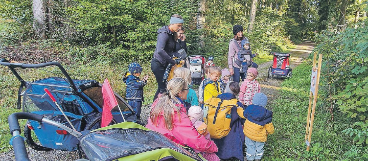 Der Erlebnispfad im Ettenhausener Wald ist bei Familien sehr beliebt. Bild: Archiv EAZ/Emanuela Manzari
