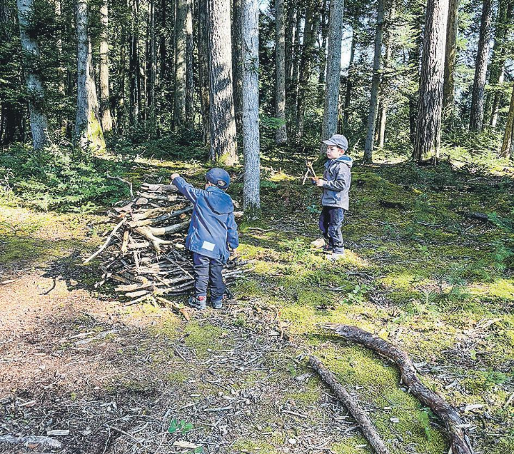 Erhöhte Astbruchgefahr wegen anhaltender Trockenheit. Bild: Emanuela Manzari