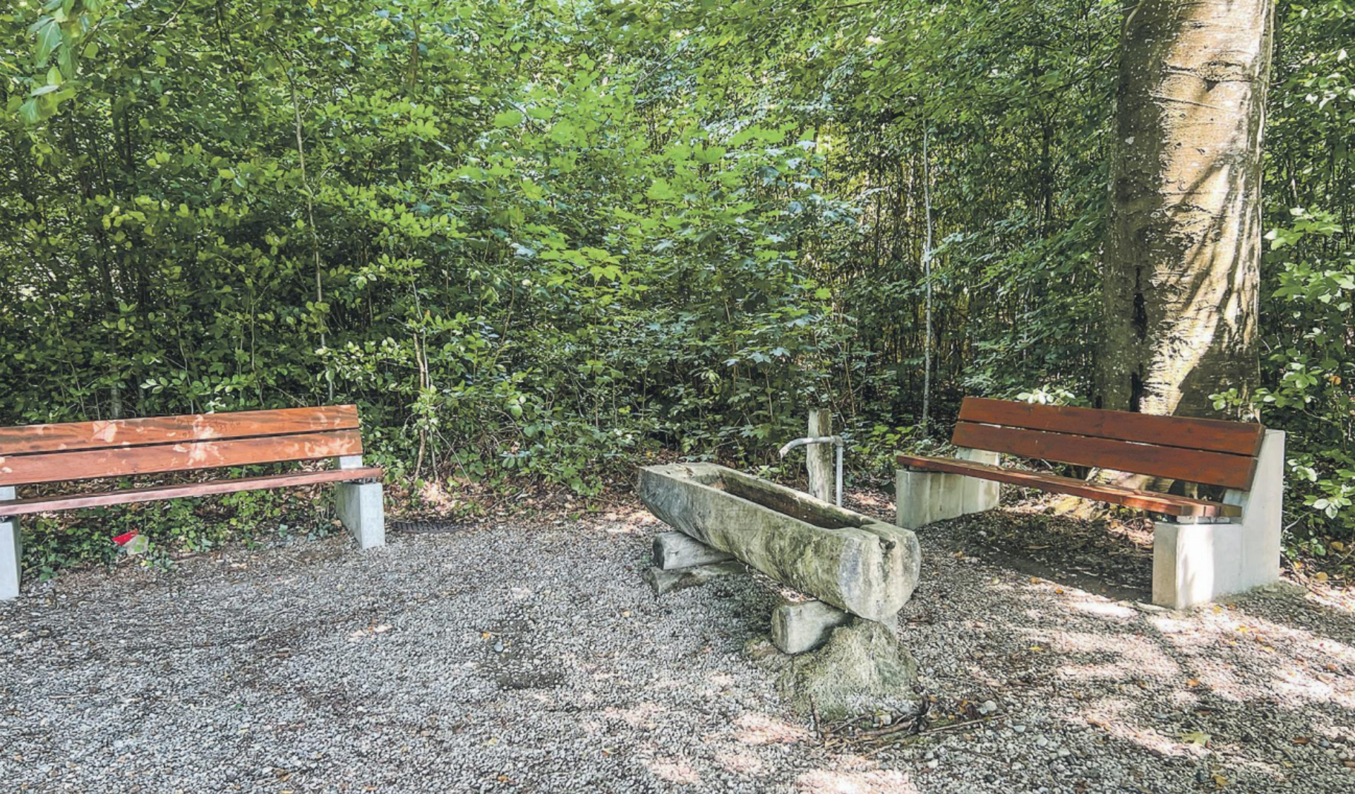 Vorsicht beim Aufenthalt im Wald - Das Bild wird blockiert. – Möglicherweise durch einen aktiven Adblocker.