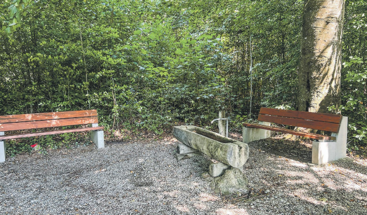 Wer in den Wald geht, sollte zurzeit besonders vorsichtig sein. Auf dem Bild eine Ruhestelle am Waldrand in Aadorf. Bild: Bettina Sticher