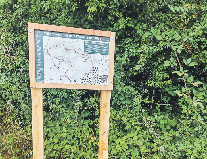 Der neu gestaltete Waldlehrpfad Schneitberg lädt dazu ein, den Elgger Wald auf eigene Faust zu entdecken. Bild: zVg