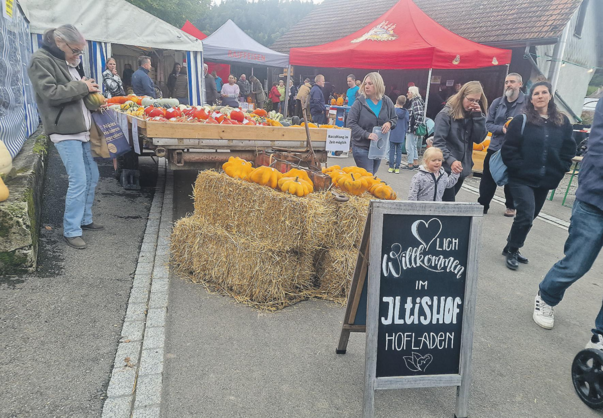 Kürbisfest auf dem Iltishof - Das Bild wird blockiert. – Möglicherweise durch einen aktiven Adblocker.