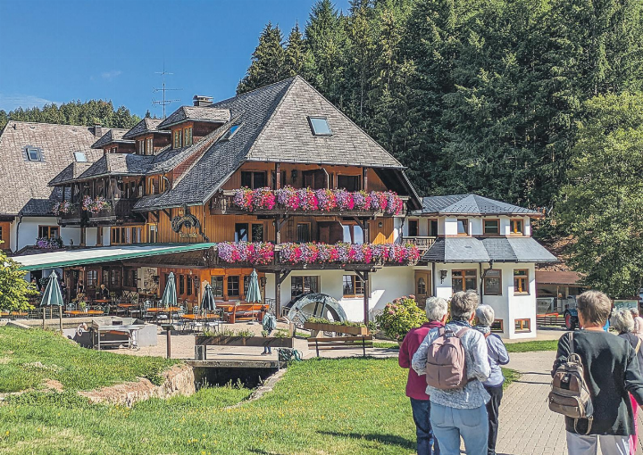 Die Frauen des Frauenvereins Elgg genossen ihren Vereinsausflug zur Tannenmühle in Grafenhausen. Bild: zVg